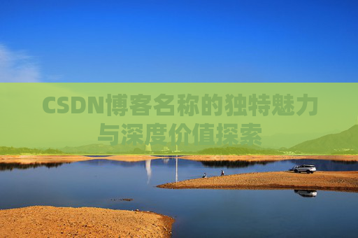 CSDN博客名称的独特魅力与深度价值探索